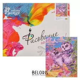 Картина по номерам «Нежные совы» 40 × 50 см