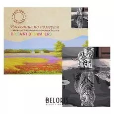 Картина по номерам «Отражение»