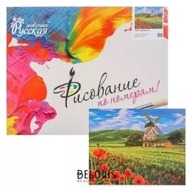 Картина по номерам «Поля швейцарии» 40 × 50 см