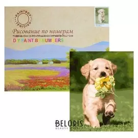 Картина по номерам «Привет!»