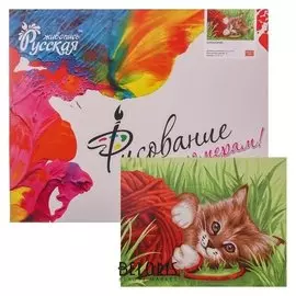 Картина по номерам «Проказник» 40 × 50 см