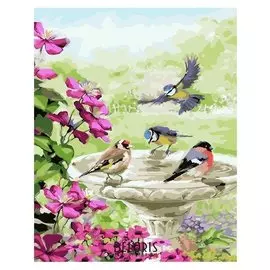 Картина по номерам «Птички»