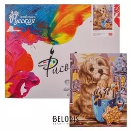 Картина по номерам «Сладости» 40 × 50 см