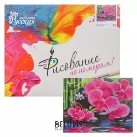 Картина по номерам «Восточный сад» 40 × 50 см