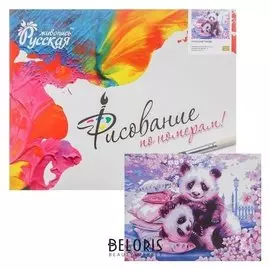 Картина по номерам «Японские панды» 40 × 50 см