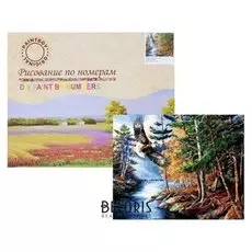 Картина по номерам «Ястреб»