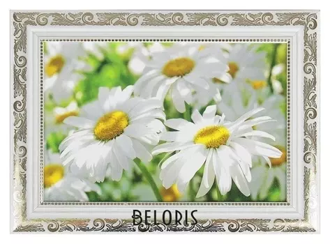 Картина "Ромашки", рама