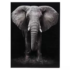 Картина "Слон" 30*40 см