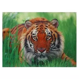 Картина "Тигр" 30*40 см