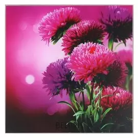 Картина "Яркие астры" 30*30 см