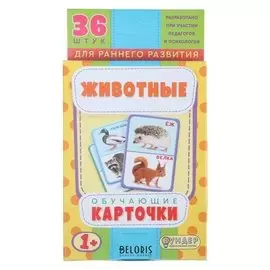 Карточки обучающие "Животные" 36 шт., 12,5 х 8,7 см