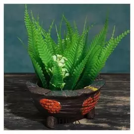 Кашпо-бонсайница овальное