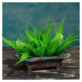 Кашпо-бонсайница прямоугольное 16,5*11,5*5см