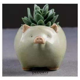 Кашпо керамическое "Свинка" 11*9*8см