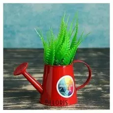 Кашпо-лейка "Поздравляю" 15*7*8см красное