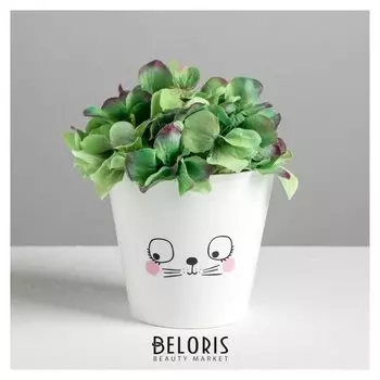 Кашпо «Мордочка», 0,8 л