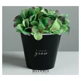 Кашпо Please Grow, 0,8 л