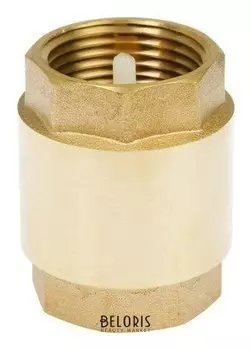 Клапан обратный "Стм", 1"