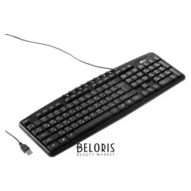 Клавиатура Ritmix Rkb-141, проводная, мембранная, 116 клавиш, Usb, кабель 1.3м, черная