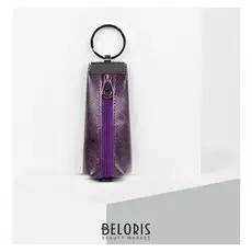 Ключница, отдел на молнии, 2 кольца внутри, цвет фиолетовый