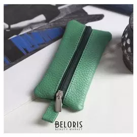 Ключница, отдел на молнии, металлическое кольцо, цвет зелёный