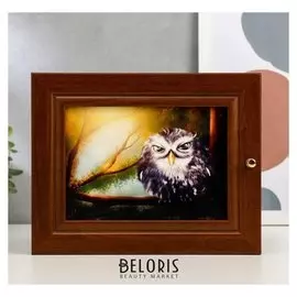 Ключница Сова 19х24 см