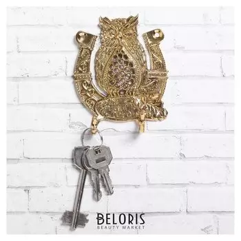 Ключница Сова с подковой 8 х 9,2 см