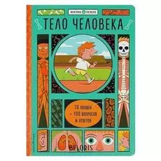 Книжка с окошками Тело человека