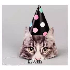 Колпак бумажный «Котики», набор 6 шт.