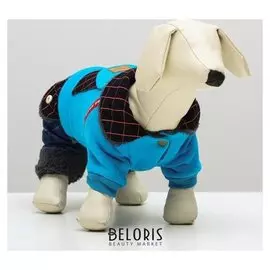 Комбинезон, еврозима на меховом подкладе, XS (ОШ 18-22,ог 27-32,дс 20 см), голубой