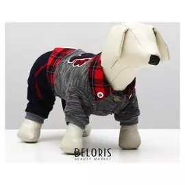 Комбинезон, еврозима на меховом подкладе, XS (ОШ 18-22,ог 27-32,дс 20 см), серо-красный