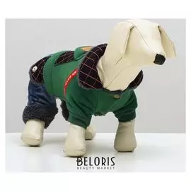 Комбинезон, еврозима на меховом подкладе, XS (ОШ 18-22,ог 27-32,дс 20 см), зеленый