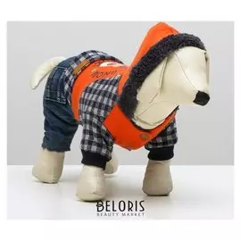 Комбинезон на меховом подкладе, XS (ОШ 18-22,ог 27-32,дс 20 см), оранжевый