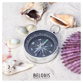 Компас Dc44-2, D=40 мм, H=5 мм, металл