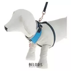 Комплект амуниции Dogness для кошек и собак до 5 кг, с адресником, нейлон