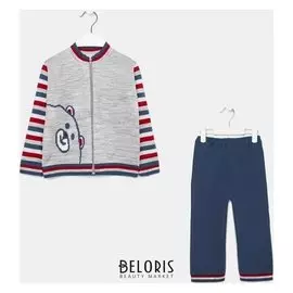 Комплект (Джемпер, штаны) для мальчика, цвет серый, рост 80 см