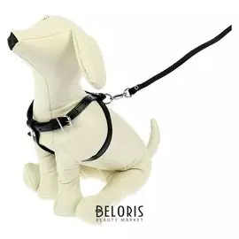 Комплект кожаный, поводок 133 см, шлейка регулируемая ОШ 20,5-34,5 см, ОГ 30-41 см, микс