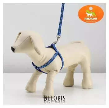 Комплект "Звездные косточки", ширина 1 см, синий