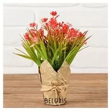 Композиция "Осока с цветочками" 7*20 см