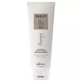 Ментоловый энергетический кондиционер (Объем 250 мл)