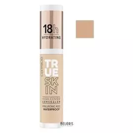 Консилер для лица True Skin High Cover Concealer