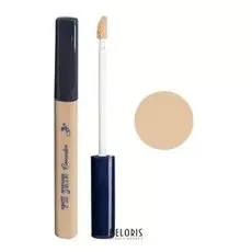 Консилер вокруг глаз Ffleur