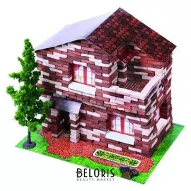 Конструктор из кирпичиков «Дачный дом», 650 деталей