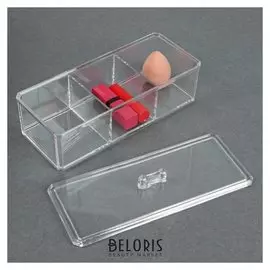 Контейнер для хранения косметических принадлежностей, с крышкой, 3 секции, 22,5 × 9 × 8,5 см, цвет прозрачный