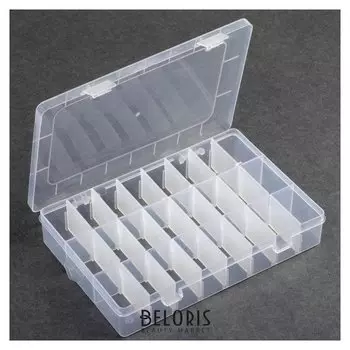 Контейнер для рукоделия, со съёмными ячейками, 24 отделения, 19 × 14 × 3,5 см, цвет прозрачный