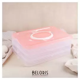 Контейнер пищевой для хранения 32х22х11 см