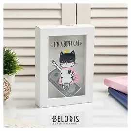 Копилка интерьерная пластик "Супер кот" 17х12х3,8 см