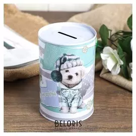 Копилка металл банка "Модный пёсик" 12х8х8 см