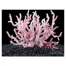 Коралл пластиковый малый 17 х 6 х 13 см, розовый