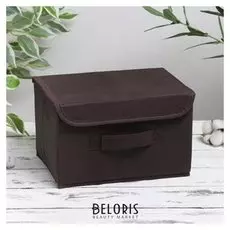 Короб для хранения с крышкой «Алва», 26×20×15 см, цвет коричневый